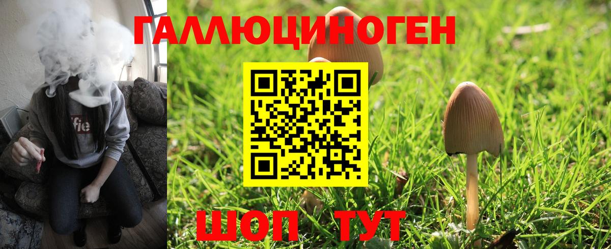 Псилоцибиновые грибы Psilocybine cubensis  Вход с VPN  Якутск 